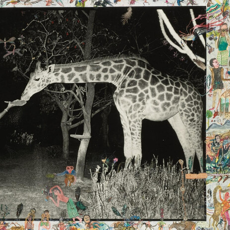 Psh cover art