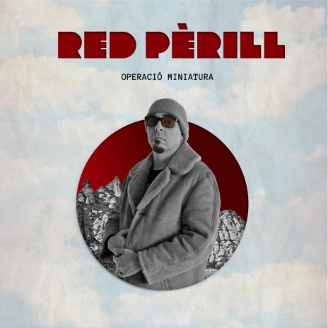 Potser Si Que Vull Ser Algú cover art