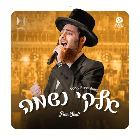 Elokai (Dudu Fisher) [דודו פישר] ft. Mendy Hershkowitz Band & The Shira Choir cover art