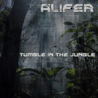 Alifer