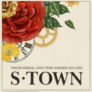 S-Town - Chapter IV cover art