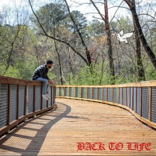 Back To Life