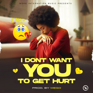 I don't want you to get hurt cover art