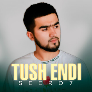 Tush endi cover art