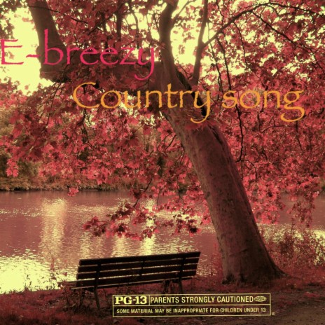Country Song cover art