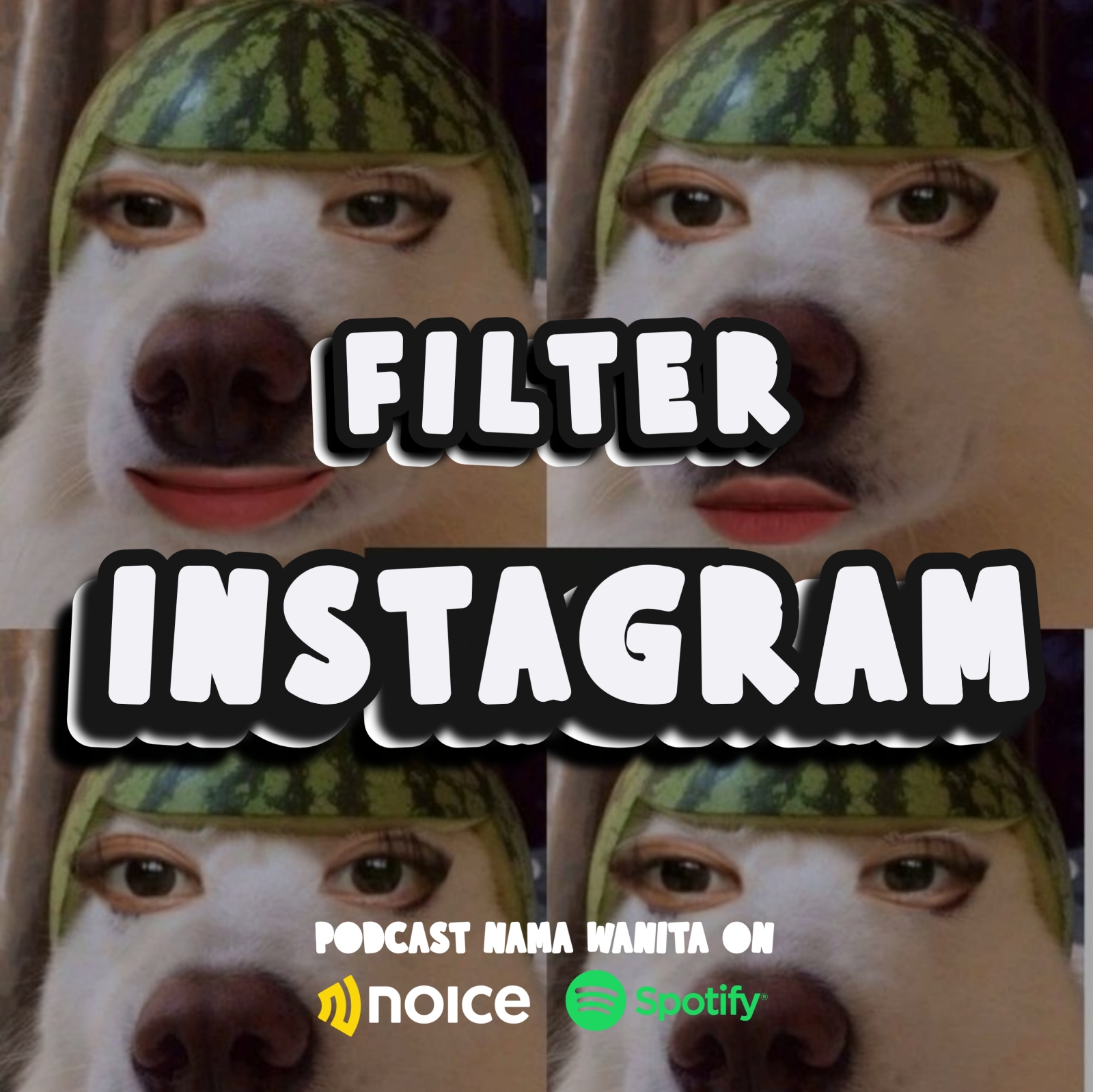Filter instagram cover art