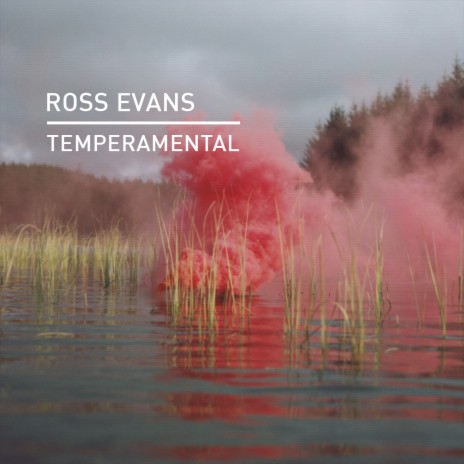 Temperamental (Vibe Killers Remix) cover art