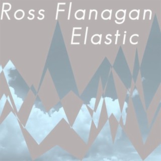 Elastic cover art