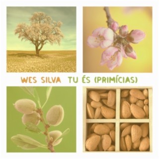 Tu És (Primícias)