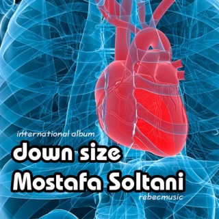down size
