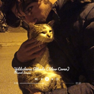 Yıldızların Altında (Cover) cover art