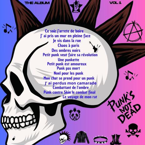 Petit punk veut faire sa revolution cover art