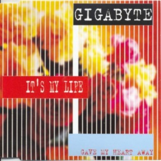 Gigabyte