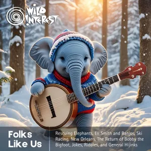 Folks Like Us cover art