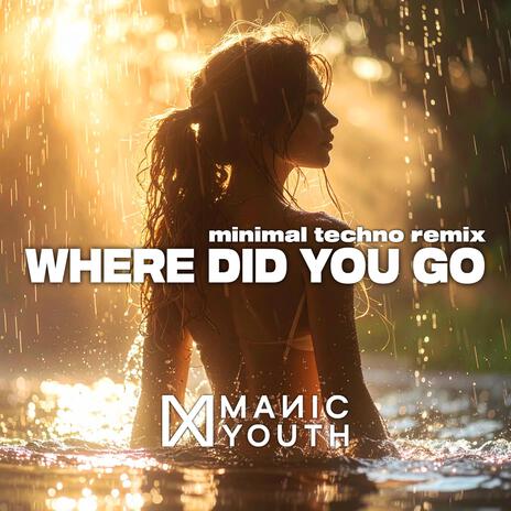 Where Did You Go (Minimal Techno Remix) cover art