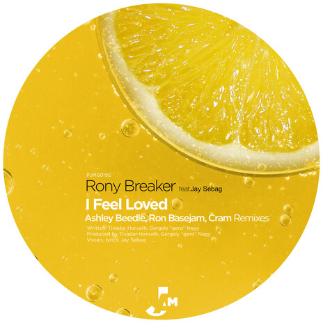 I Feel Loved (Cram Instrumental) ft. Jay Sebag