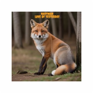 Love of yesterday cover art