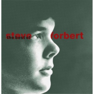 The Best of Steve Forbert: What Kinda Guy?