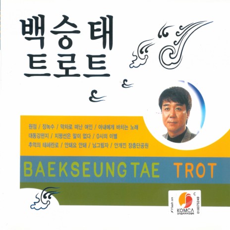 내마음 별과같이 cover art