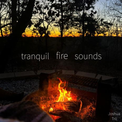 Fireside Reflections