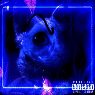 Madness Baby cover art