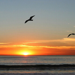 Sunrise