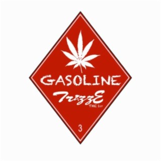 Gas ft. TrizzE Tha 1st cover art