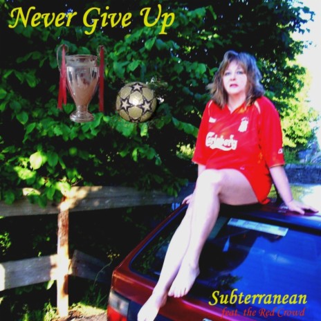 It's Not Insane cover art