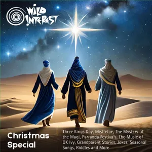 Christmas Special cover art