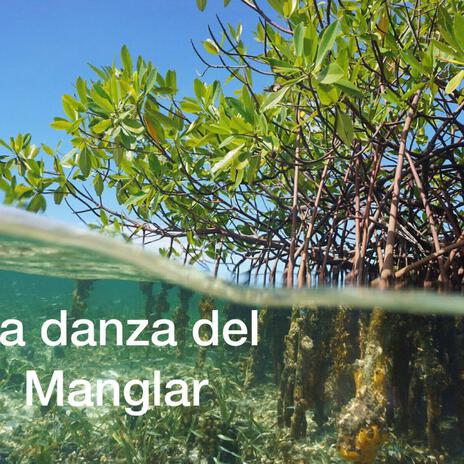 La danza del Manglar cover art