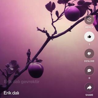 Erik dalı (Aı Remix) ft. Aı cover art