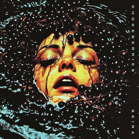 Quiet Hums cover art