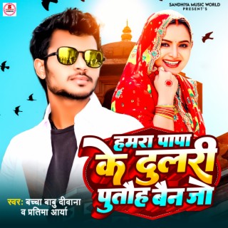 Bachcha Babu Diwana