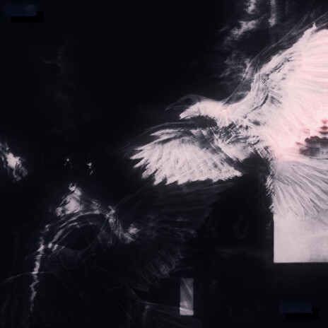 dïvïnëx (slowed) cover art