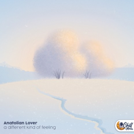 a different kind of feeling ft. Chill Moon Music cover art
