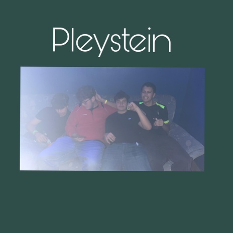 Pleystein