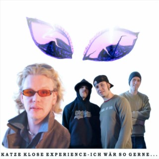 Ich wär so gerne schwul ft. Pensen Paletti, Tevkovic, Heiko Rilk & Katze Klose Experience cover art