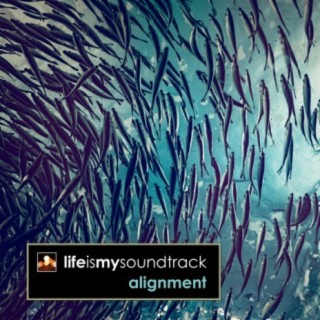 Alignment
