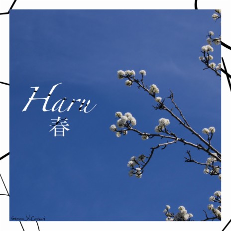 Haru cover art