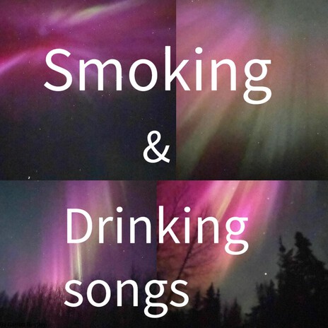 We Just Wanna Party
