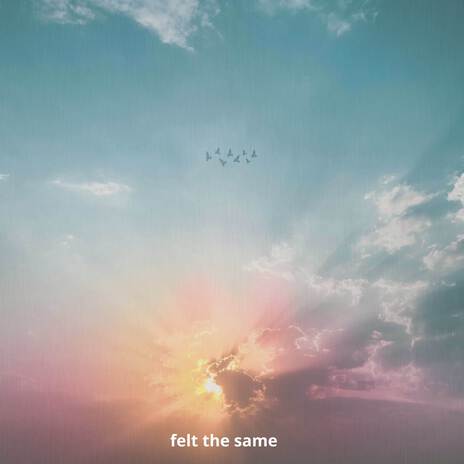 felt the same cover art