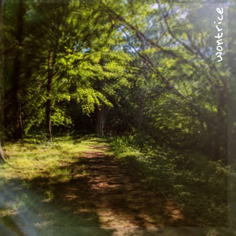 Mille Marteaux cover art