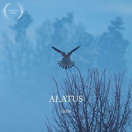 Alatus cover art