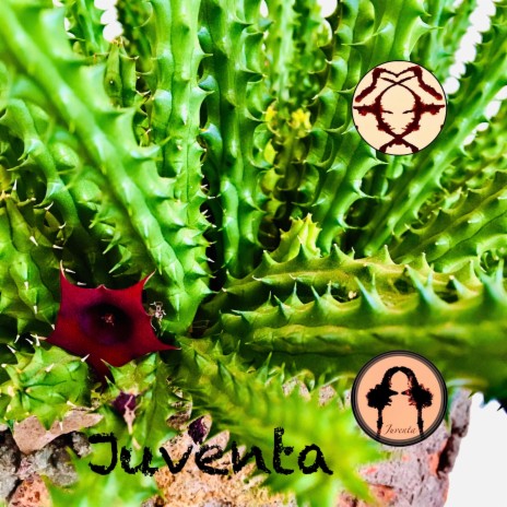 Juventa cover art