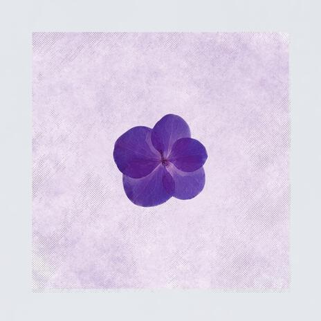 Violet And You cover art