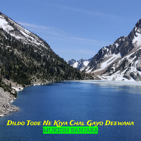 Dildo Tode Ne Kiya Chal Gayo Deewana cover art