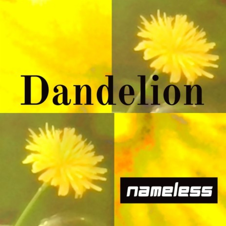 Dandelion cover art