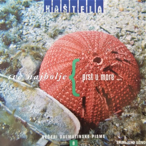 Splitsko stanje uma (Live) cover art