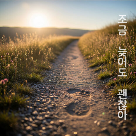 조금 늦어도 괜찮아 cover art