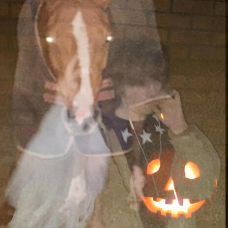 WITCHTRAP (HALLOWEEN exclusive) cover art